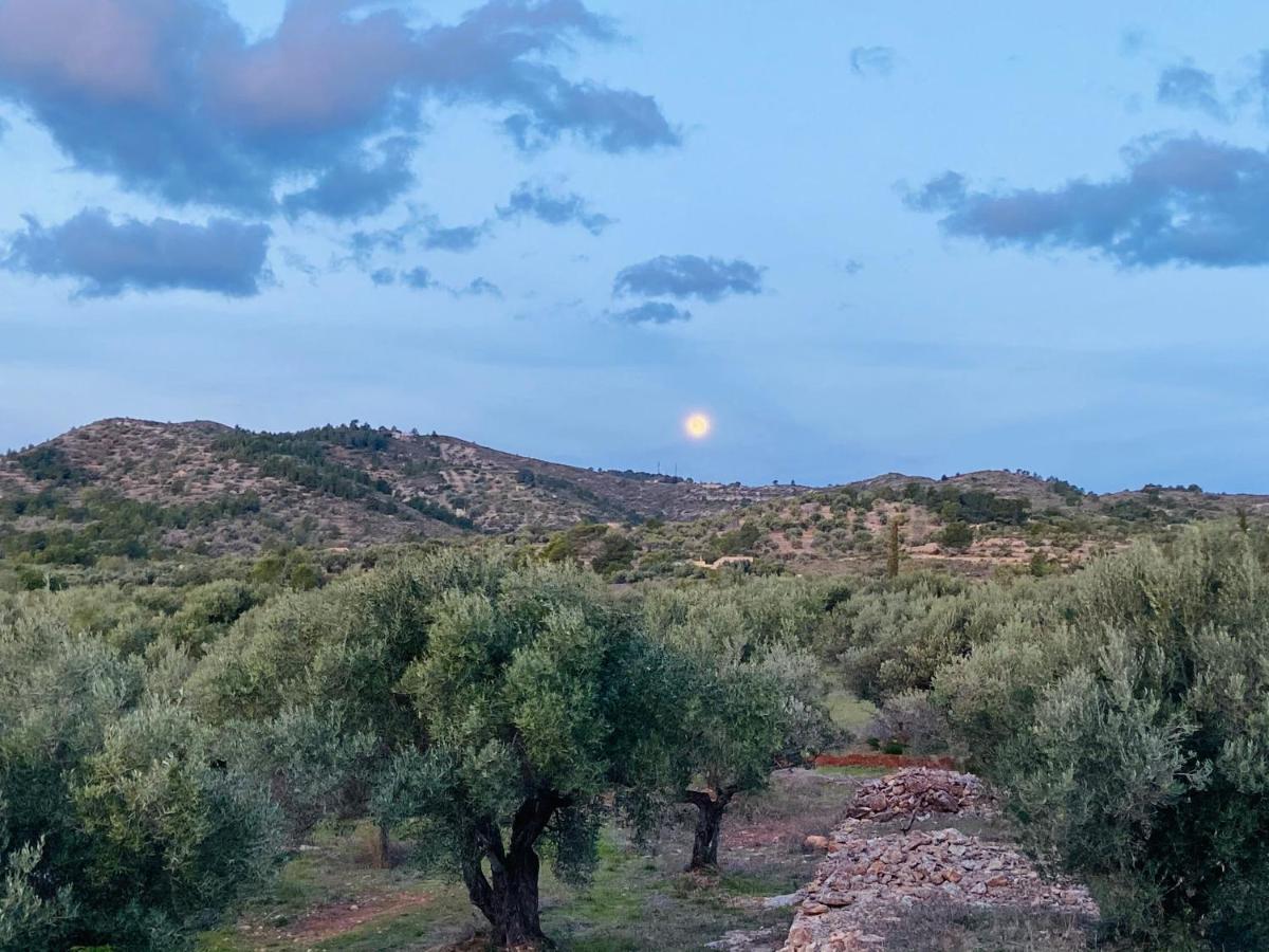 Paraiso Bell Tent Tortosa Luaran gambar